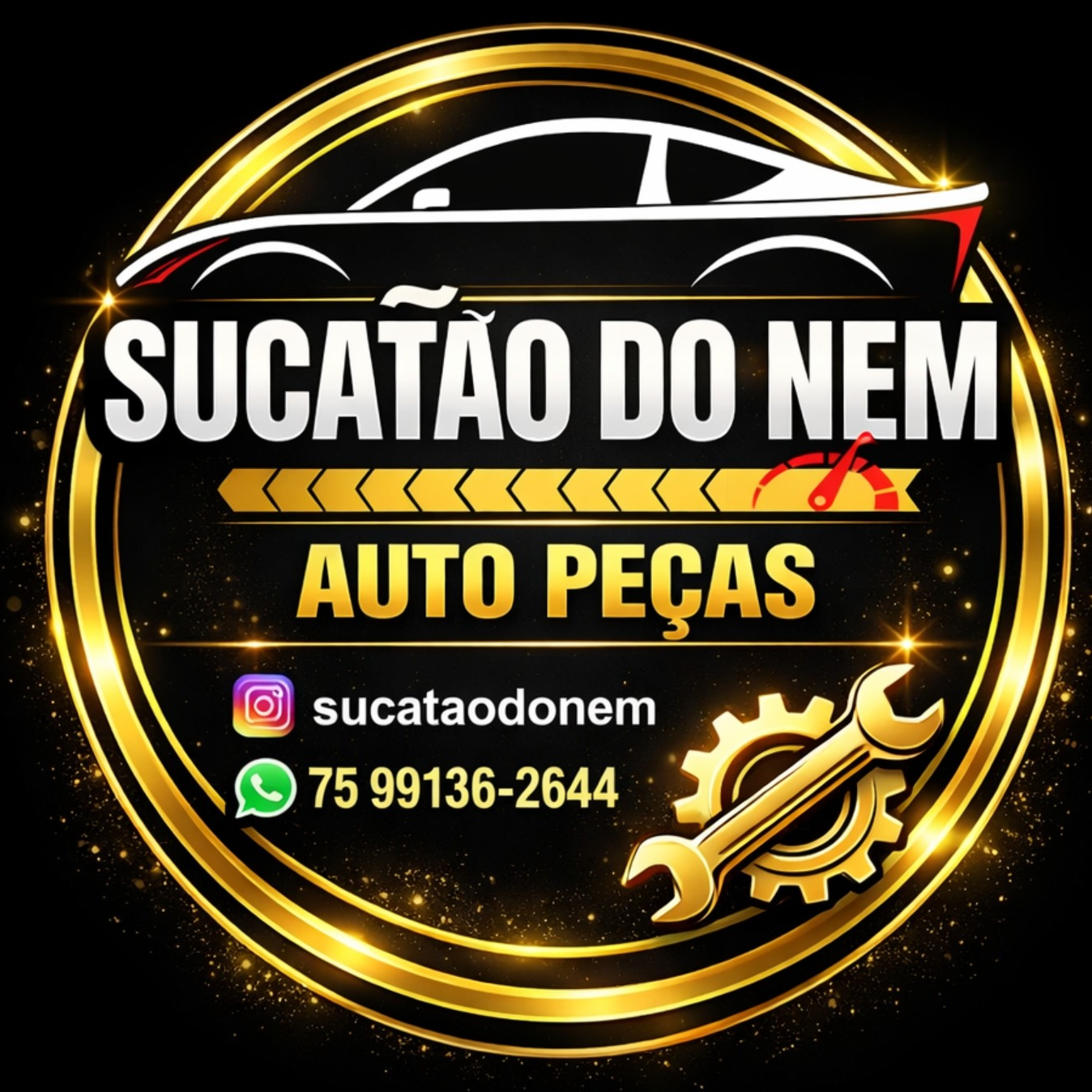 Sucatão Do Nem Auto Peças