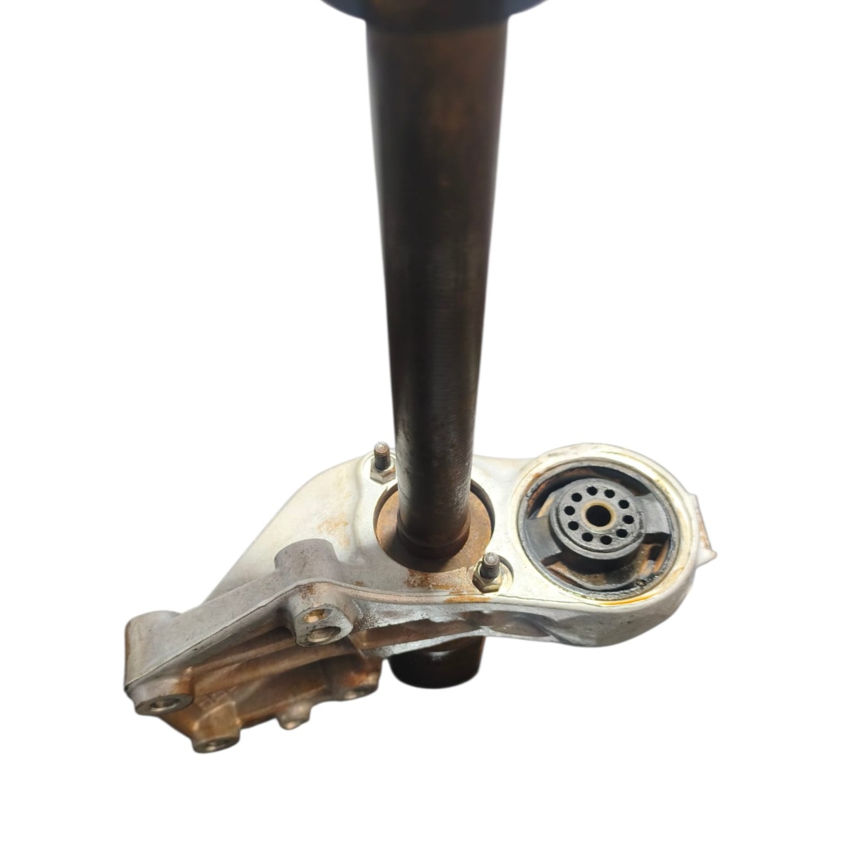 Semi Eixo Direito Peugeot 207 206 1.4 2006/2009 Org 484202 - Imagem 4