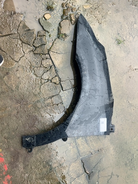 PARALAMA ESQUERD CITROEN C4 HATCH PALLAS DETALHE