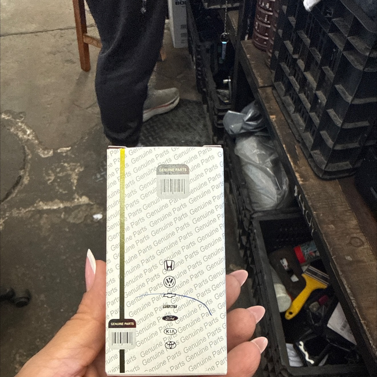 Cebolinha De Oleo Novo - Imagem 2