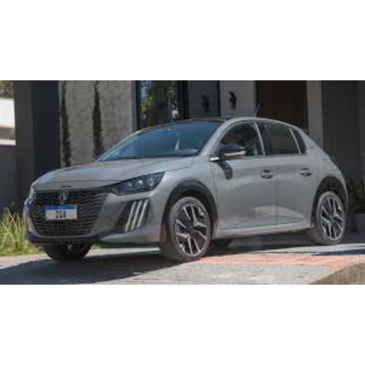 Paralama Dianteiro Peugeot 208 2020-2024 ld