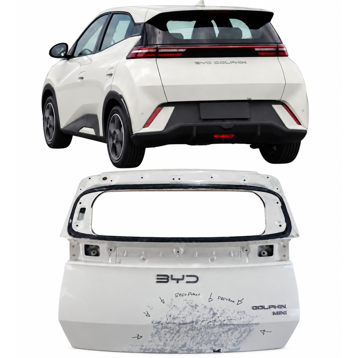 Tampa Mala Byd Dolphin Mini