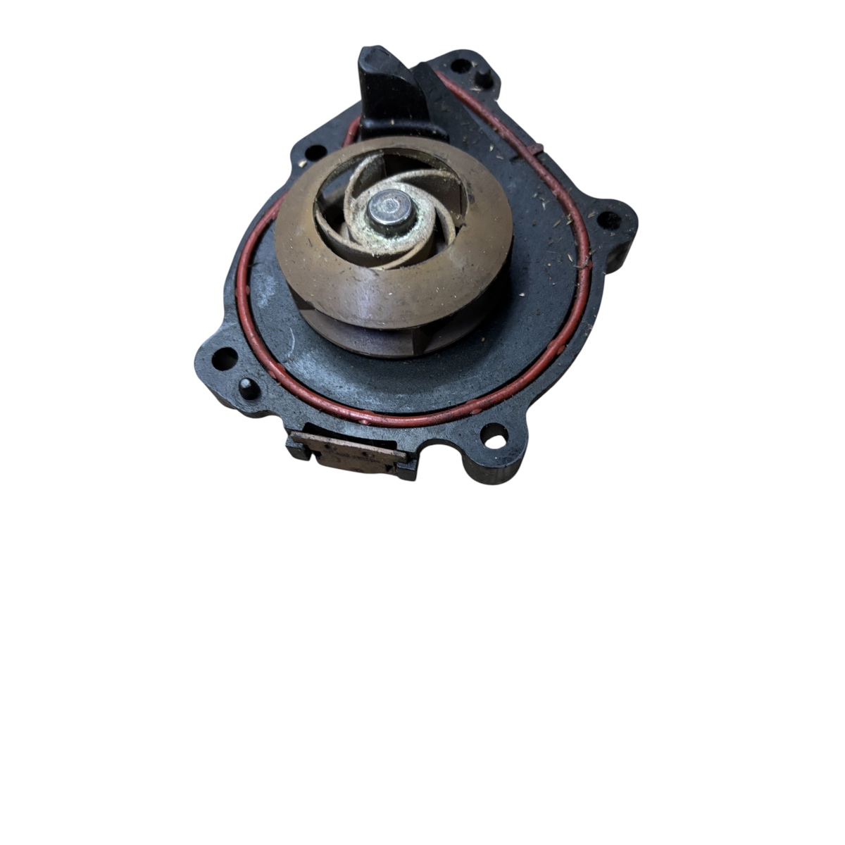 Bomba D’água 308 Thp1.6