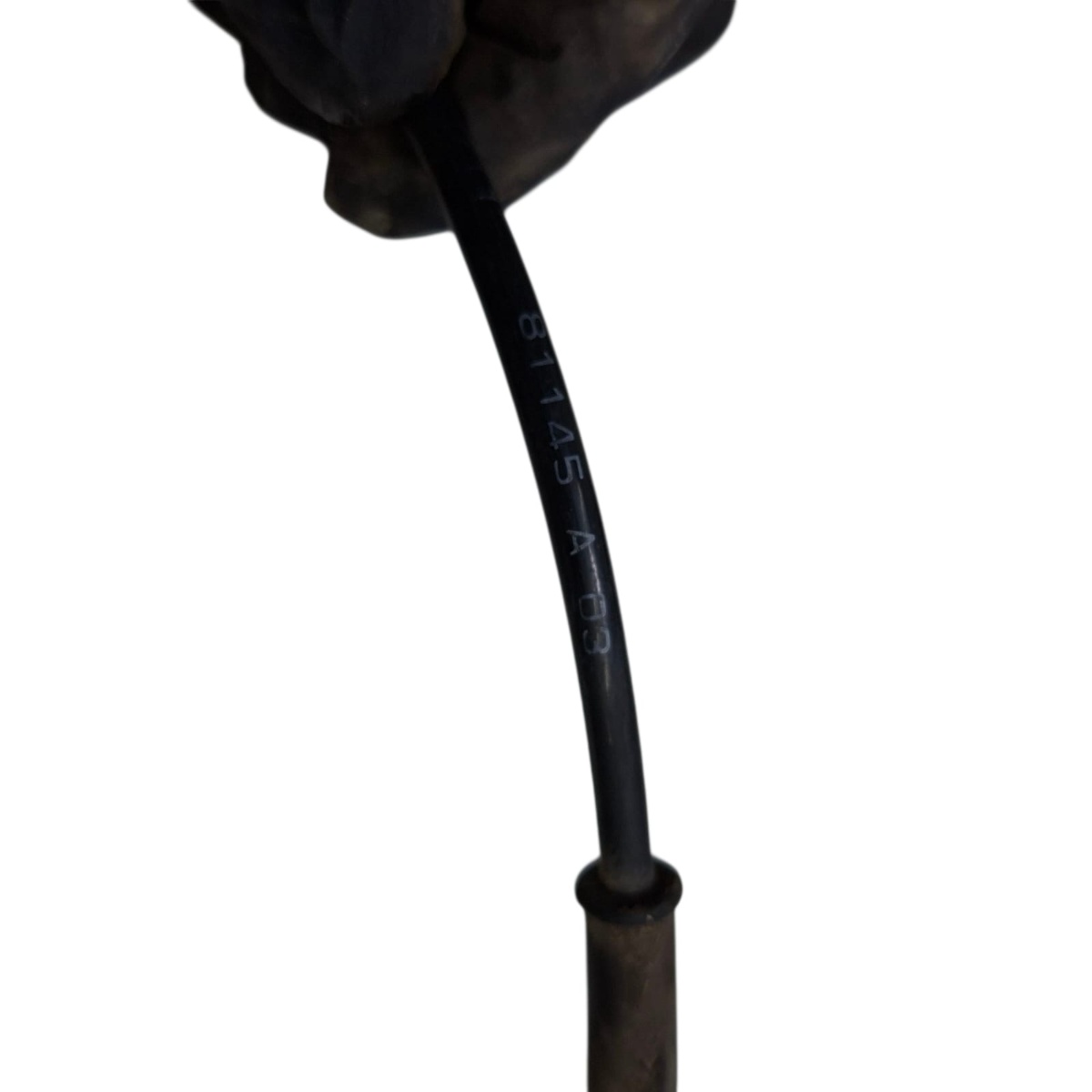Sensor Abs Dianteiro Direito Citroën C4 2007/2010 - 81145A03 - Imagem 3