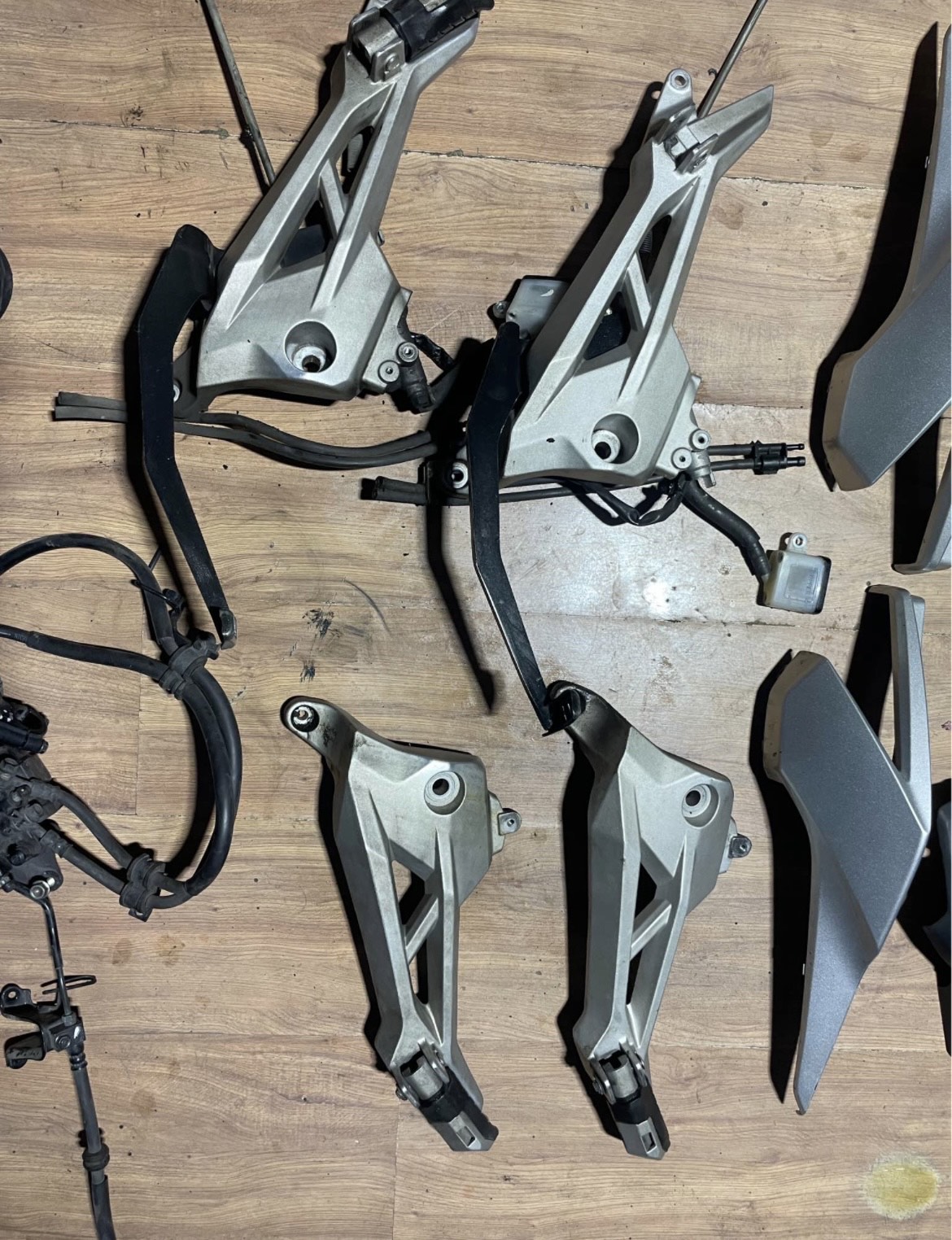 Bacalhau, Traseira Completa - Imagem 2