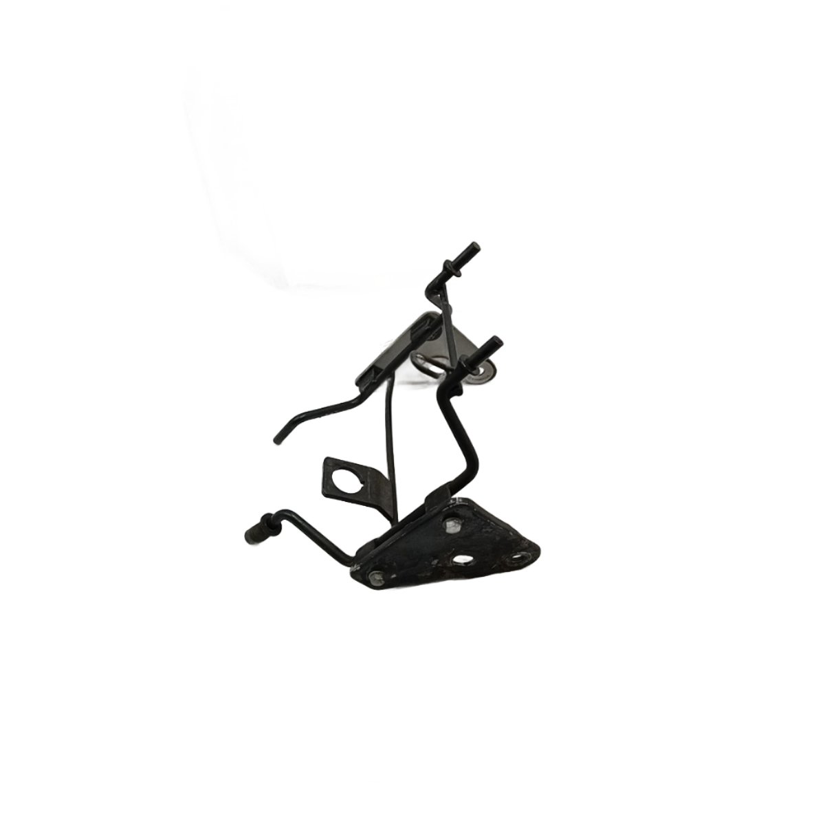 Aranha Farol - Imagem 2