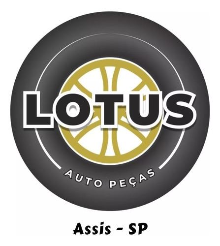 Farol Toyota Hilux Sw4 1996 1997 1998 Arteb Esquerdo Esquerdo - Imagem 8