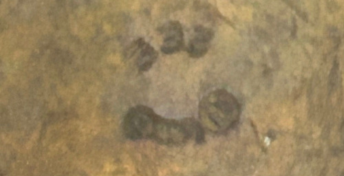 Suporte Bomba De Direção Santana Versailles  - Imagem 7