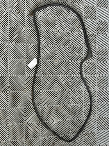 Borracha Canaleta Traseira Esquerda Fiat Argo 2020 Preto