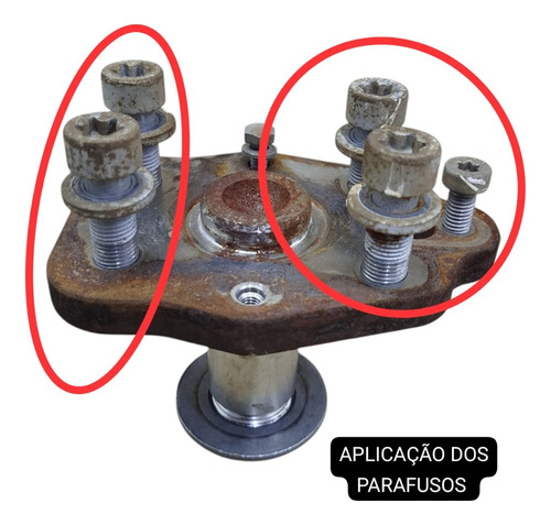 Parafusos Do Cubo Ponta De Eixo Traseiro C4 Cactus 1.6 2022 - Imagem 2