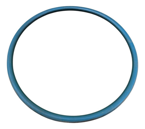 Borracha De Vedação Bomba De Combustível Fiat 500 2012 2013