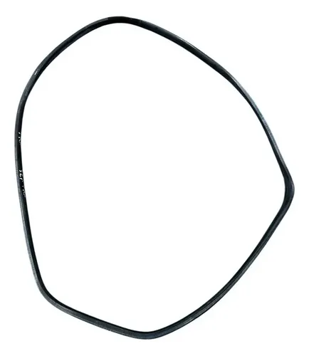 Borracha Porta Traseira Esquerda Sentra 2015 2016 2017 2018 Preto