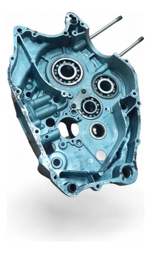 Carcaça De Motor Lado Direito Amazonas 250 Usado - Imagem 6