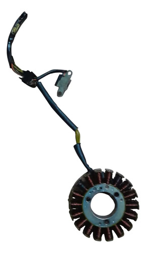 Estator Da Amazonas 250 Usado - Imagem 5