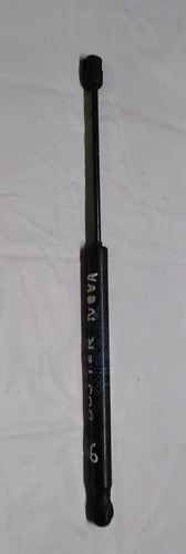 Amortecedor Tampa Traseira Duster 2.0 2014/2020 904528324r