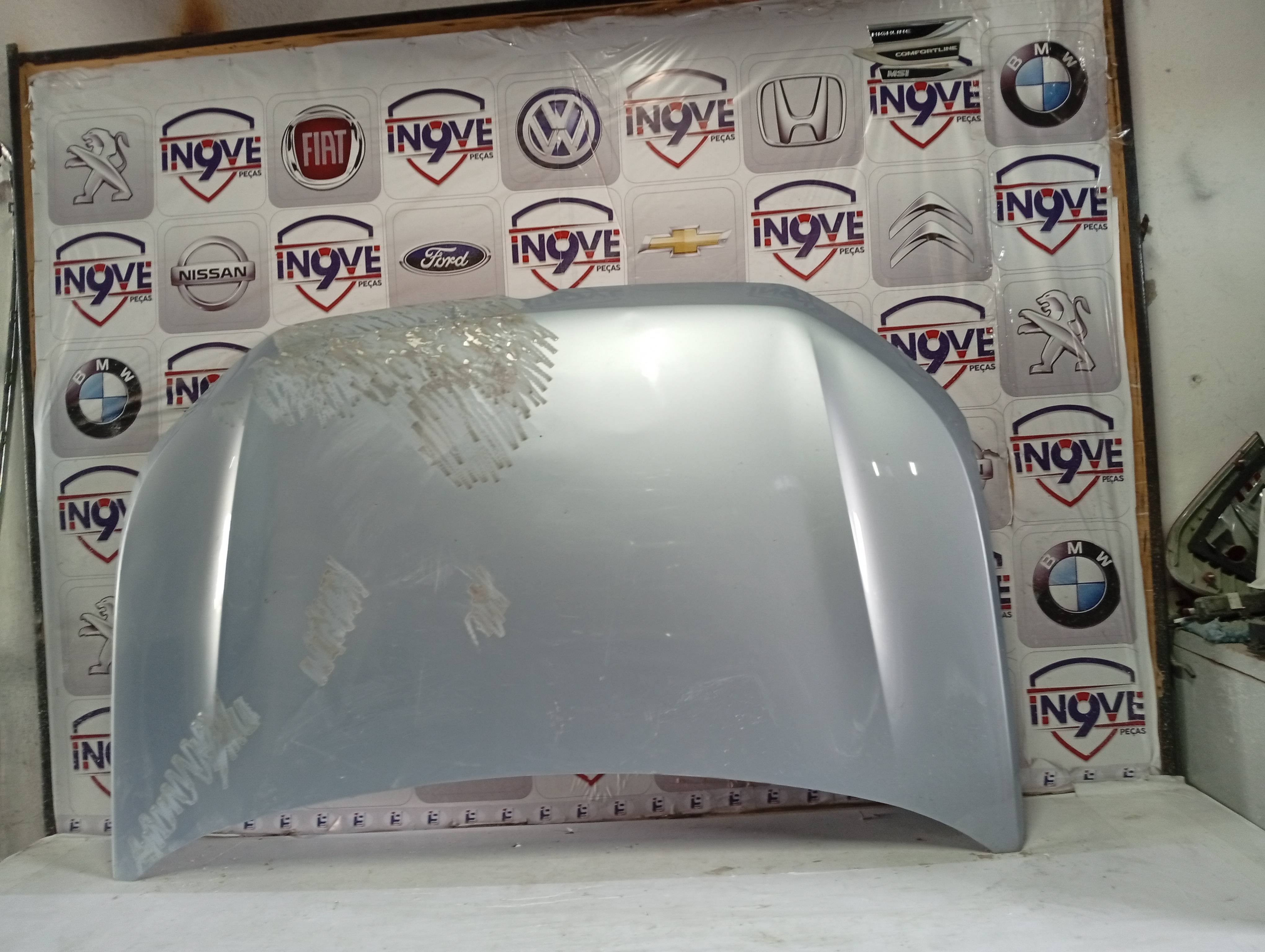 Capô Volkswagen Tera