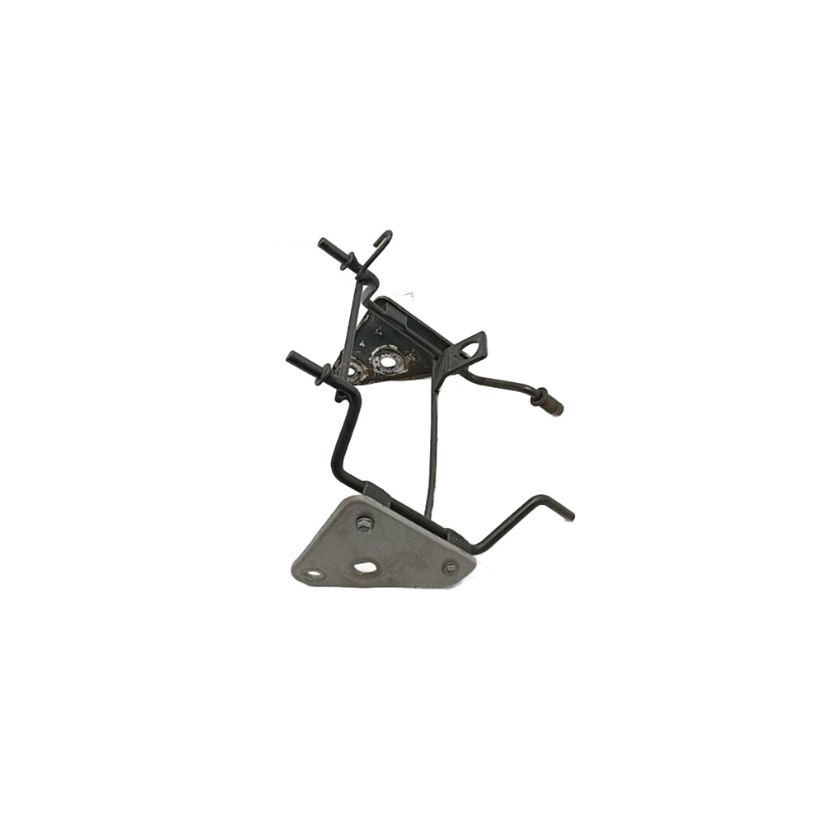 Aranha Farol - Imagem 4